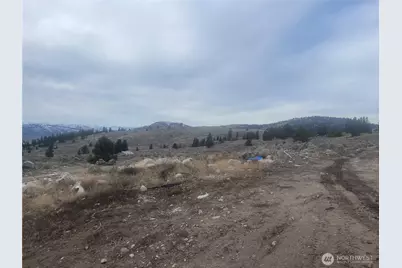 172 Cayuse Mtn Rd, Tonasket, WA 98855 - Photo 5