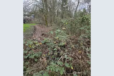 8027 S Yakima Avenue, Tacoma, WA 98408 - Photo 3