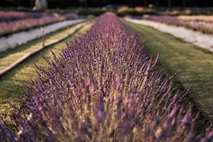 14320 148th Pl NE, Woodinville, WA 98072 - Photo 39