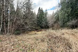 128 S Union Rd, Elma, WA 98541 - Photo 21