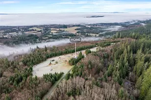 310 Dream Vw Ln, Cinebar, WA 98533 - Photo 29