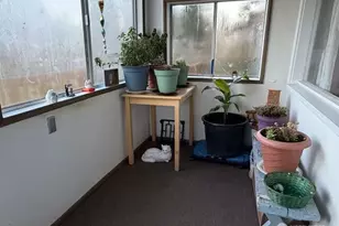 313 Taylor St, Ryderwood, WA 98581 - Photo 3