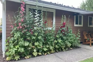 246 27 Walker Rd, Toledo, WA 98591 - Photo 35