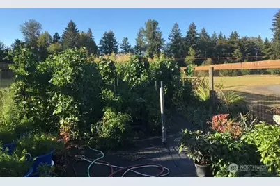 246 27 Walker Road, Toledo, WA 98591 - Photo 37