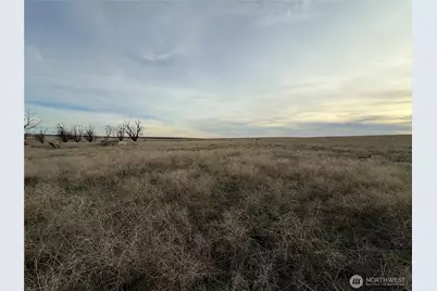 0 15.6 Road, Wilson Creek, WA 98860 - Photo 19