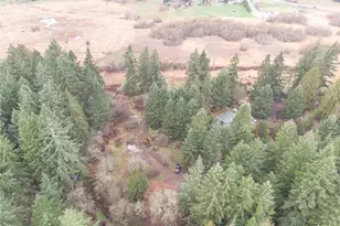 35618 16th Ave Ct S, Roy, WA 98580 - Photo 13