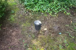 35618 16th Ave Ct S, Roy, WA 98580 - Photo 39