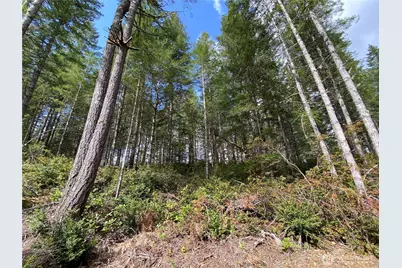 0 Tr 3 E Mason Lake Road, Grapeview, WA 98546 - Photo 11