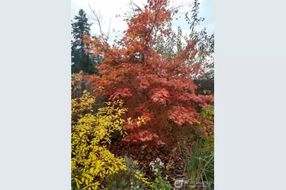 2460 215th Place SW, Brier, WA 98036 - Photo 31