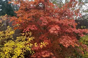 2460 215th Pl SW, Brier, WA 98036 - Photo 31