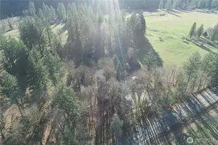 11839 Lewis River Rd, Ariel, WA 98603 - Photo 7