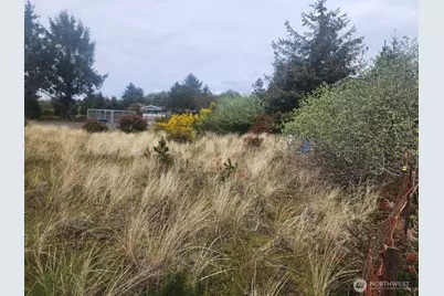 637 E Chance A La Mer NE, Ocean Shores, WA 98569 - Photo 5