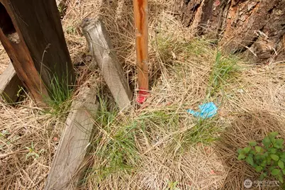 202 Eagle Drive, Chewelah, WA 99109 - Photo 5