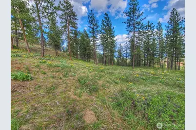 1612 Palmer Loop, Chewelah, WA 99109 - Photo 15