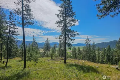 1612 Palmer Loop, Chewelah, WA 99109 - Photo 19