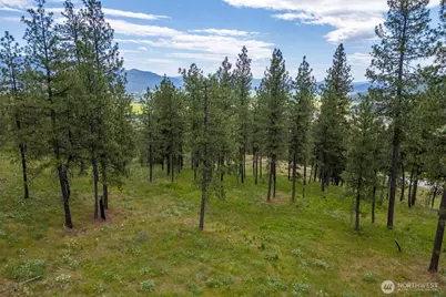 1612 Palmer Loop, Chewelah, WA 99109 - Photo 1