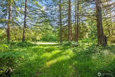 24404 122nd Avenue E, Graham, WA 98338 - Photo 5