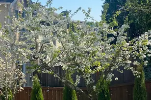 18313 102nd St Ct E, Bonney Lake, WA 98391 - Photo 35