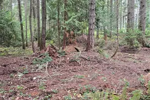 11119 122nd Ave Ct, Anderson Island, WA 98303 - Photo 7