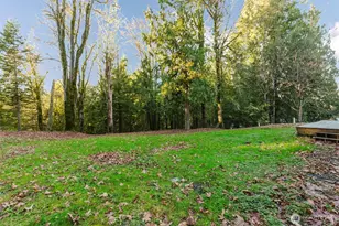 360 E Rasor Rd, Belfair, WA 98528 - Photo 31