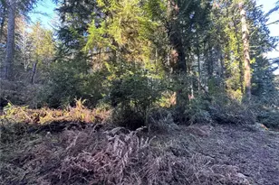 12719 & 12723 96th Street Ct, Anderson Island, WA 98303 - Photo 13