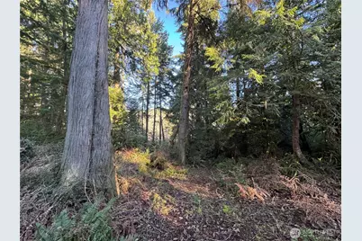 12719 & 12723 96th Street Ct, Anderson Island, WA 98303 - Photo 3