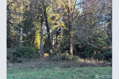 12719 & 12723 96th Street Ct, Anderson Island, WA 98303 - Photo 5