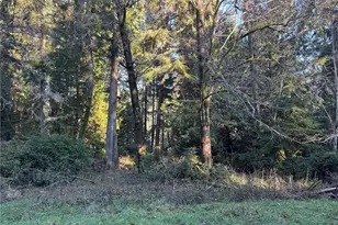 12719 & 12723 96th Street Ct, Anderson Island, WA 98303 - Photo 5