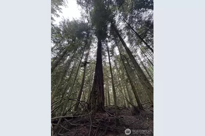 2121 Winterhawk Lane, Coupeville, WA 98239 - Photo 17