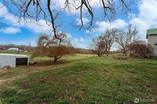 244 E Camp Rd, Waitsburg, WA 99361 - Photo 29