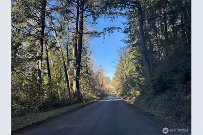 9606 Otso Point Road, Anderson Island, WA 98303 - Photo 7