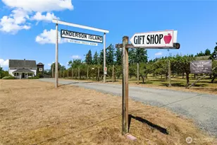 9606 Otso Point Rd, Anderson Island, WA 98303 - Photo 9