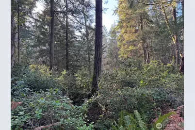 9606 Otso Point Road, Anderson Island, WA 98303 - Photo 3