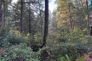 9606 Otso Point Rd, Anderson Island, WA 98303 - Photo 3