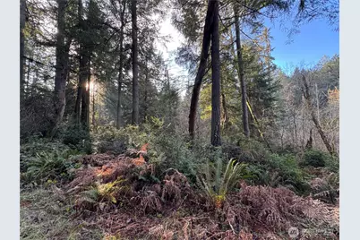 9606 Otso Point Road, Anderson Island, WA 98303 - Photo 1