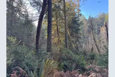 9606 Otso Point Road, Anderson Island, WA 98303 - Photo 5