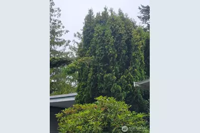 201 Union Avenue SE #183, Renton, WA 98059 - Photo 3