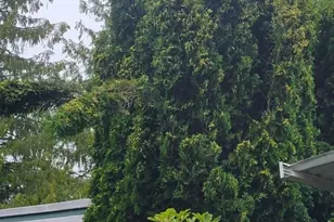 201 Union Ave SE, Renton, WA 98059 - Photo 3