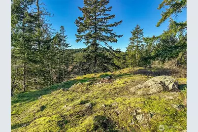 4282 Deer Harbor Road, Orcas Island, WA 98245 - Photo 23