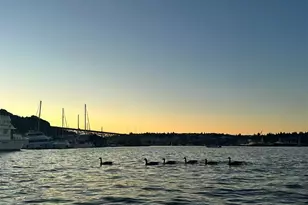 2040 Westlake Ave N, Seattle, WA 98109 - Photo 35