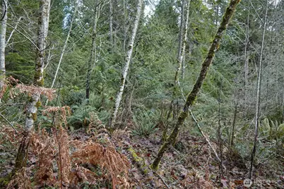 63 Xx NW Anderson Hill Road, Silverdale, WA 98383 - Photo 5