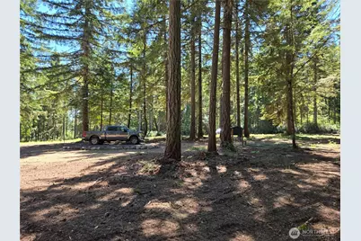 19205 30th Street SW, Longbranch, WA 98349 - Photo 7