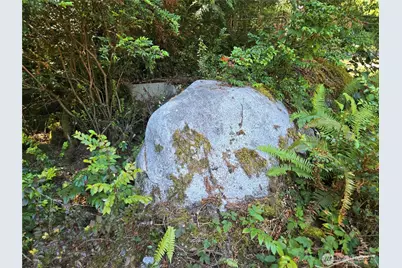 19205 30th Street SW, Longbranch, WA 98349 - Photo 17