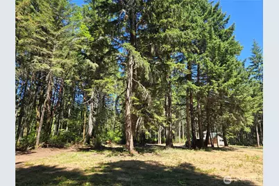 19205 30th Street SW, Longbranch, WA 98349 - Photo 23