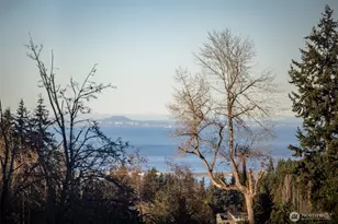 1063 Tamarack Ln, Port Angeles, WA 98362 - Photo 33