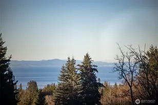 1063 Tamarack Ln, Port Angeles, WA 98362 - Photo 13