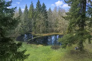 24124 94th Ave E, Graham, WA 98338 - Photo 1