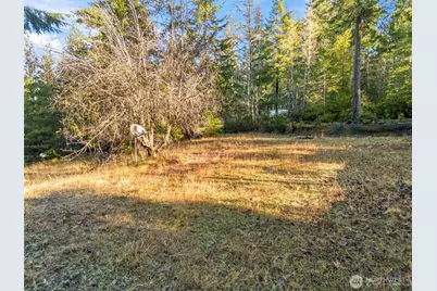 1121 E Timber Tides Drive, Union, WA 98592 - Photo 7