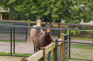 21712 NE 144th Pl, Woodinville, WA 98077 - Photo 39