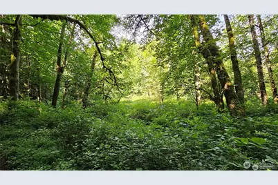 210 Xx Pugh Road NE, Poulsbo, WA 98370 - Photo 13